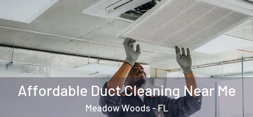 Affordable Duct Cleaning Near Me Meadow Woods - FL