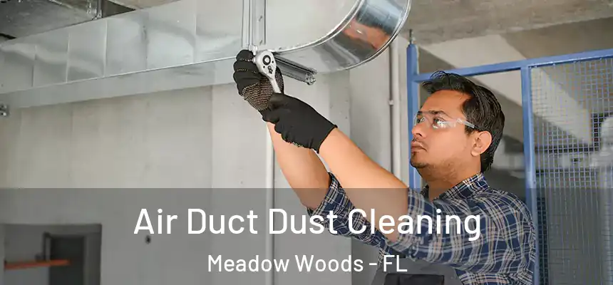 Air Duct Dust Cleaning Meadow Woods - FL