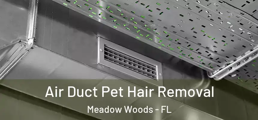 Air Duct Pet Hair Removal Meadow Woods - FL