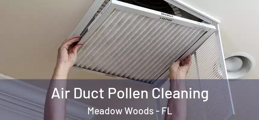Air Duct Pollen Cleaning Meadow Woods - FL
