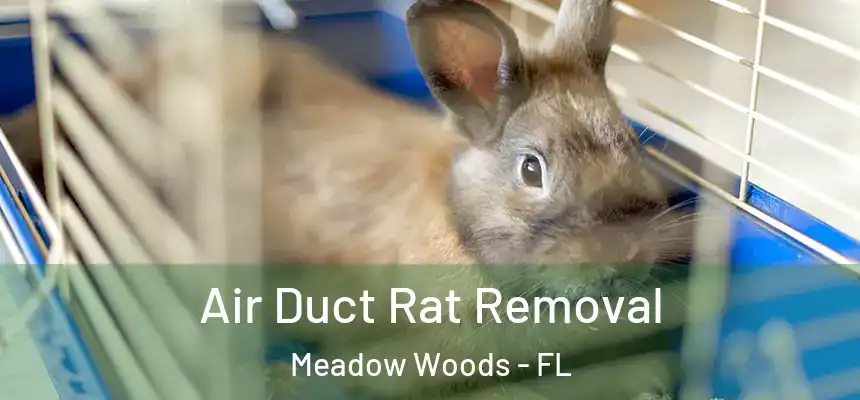 Air Duct Rat Removal Meadow Woods - FL
