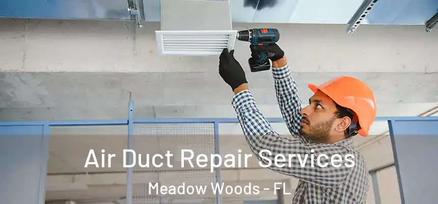Air Duct Repair Services Meadow Woods - FL