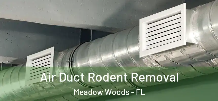 Air Duct Rodent Removal Meadow Woods - FL
