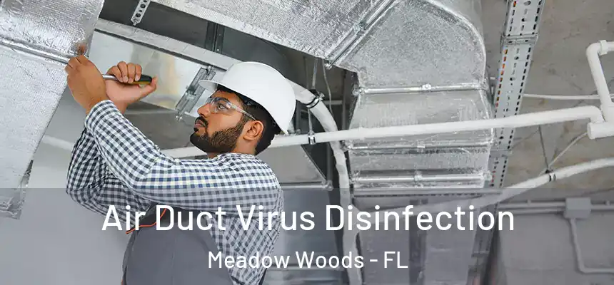 Air Duct Virus Disinfection Meadow Woods - FL