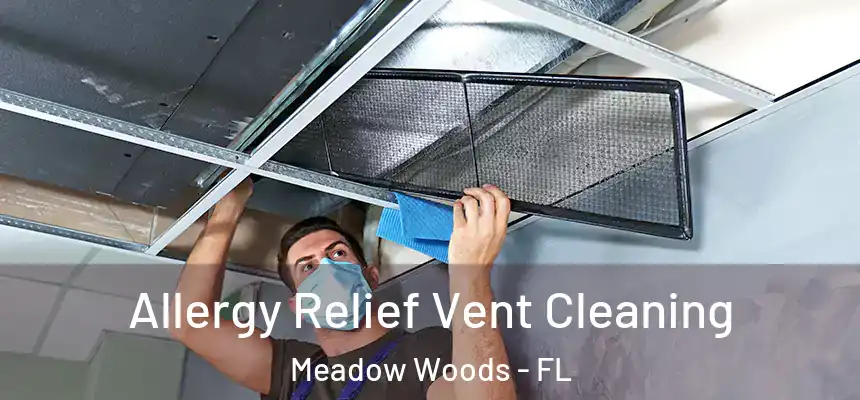 Allergy Relief Vent Cleaning Meadow Woods - FL