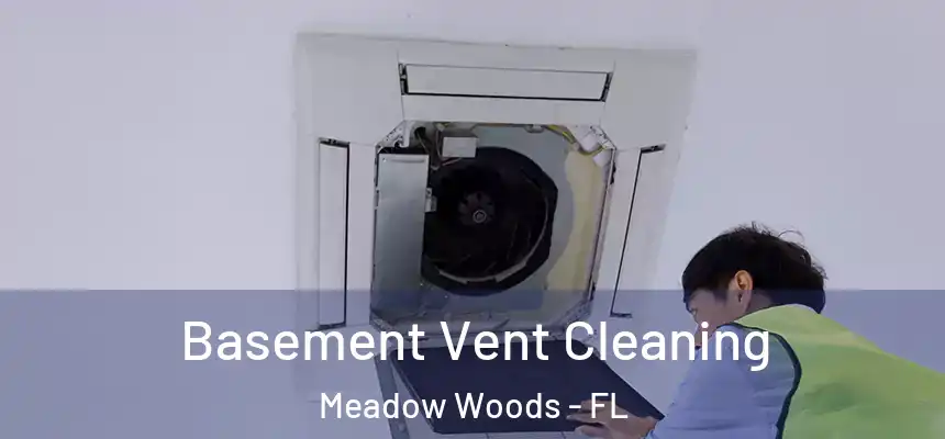 Basement Vent Cleaning Meadow Woods - FL