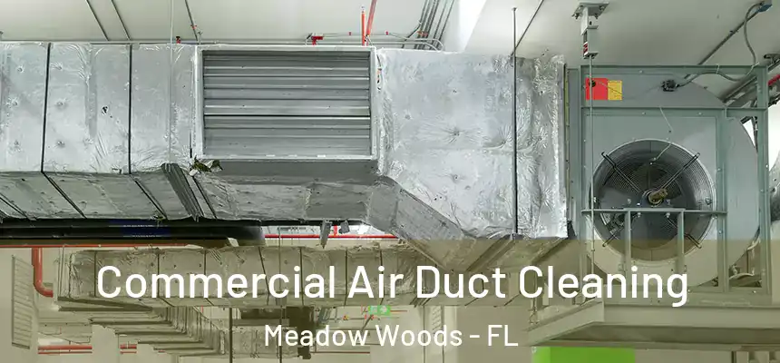 Commercial Air Duct Cleaning Meadow Woods - FL