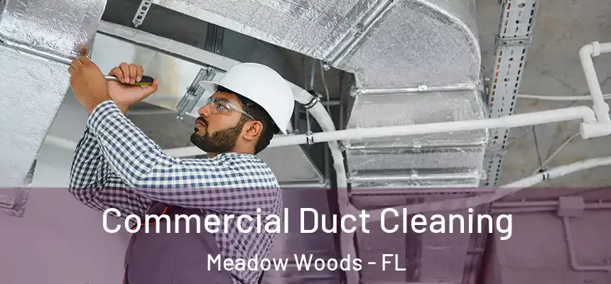 Commercial Duct Cleaning Meadow Woods - FL