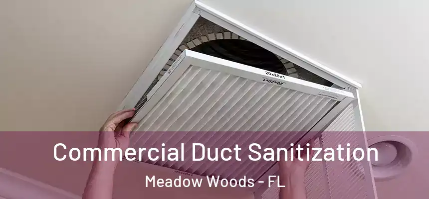Commercial Duct Sanitization Meadow Woods - FL