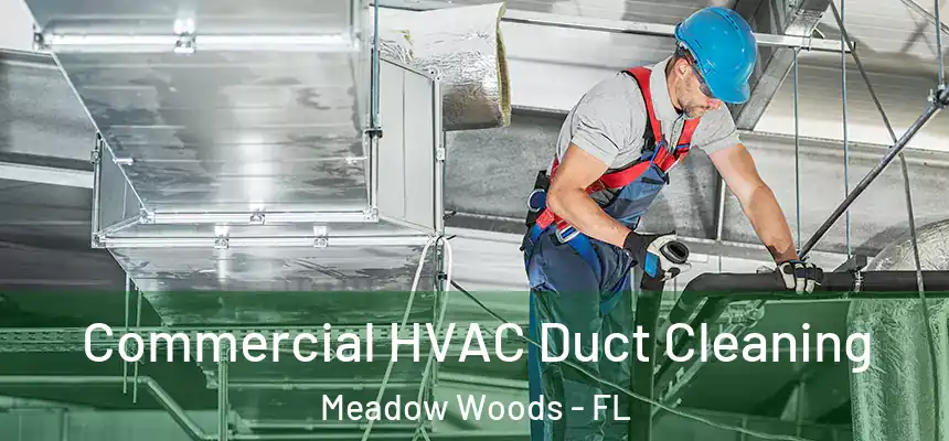 Commercial HVAC Duct Cleaning Meadow Woods - FL