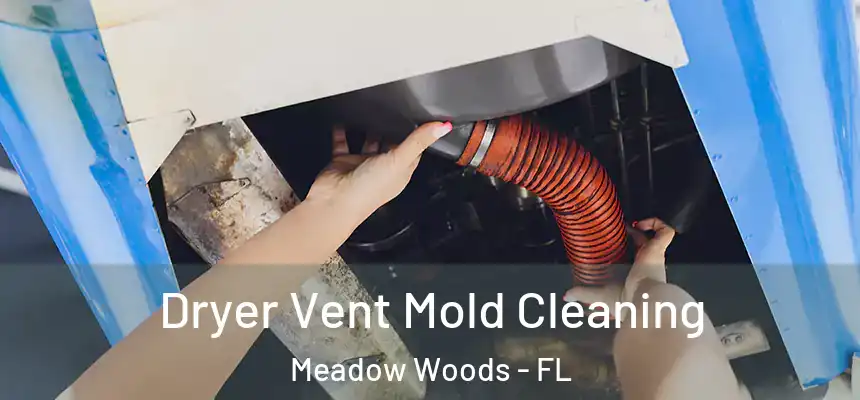 Dryer Vent Mold Cleaning Meadow Woods - FL