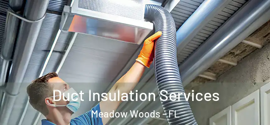 Duct Insulation Services Meadow Woods - FL