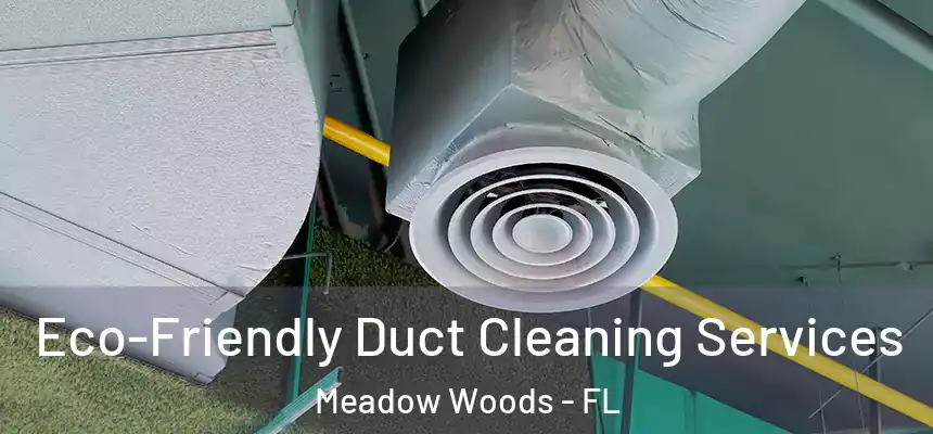 Eco-Friendly Duct Cleaning Services Meadow Woods - FL