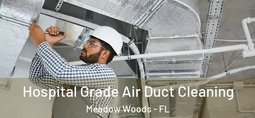 Hospital Grade Air Duct Cleaning Meadow Woods - FL
