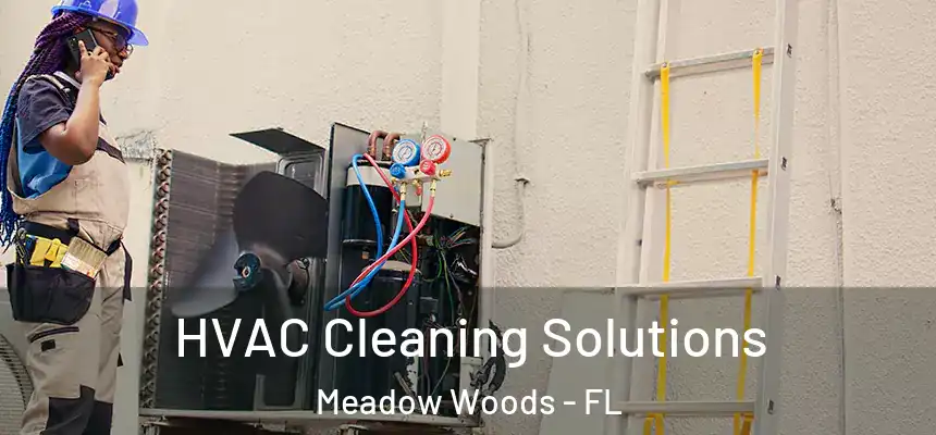HVAC Cleaning Solutions Meadow Woods - FL