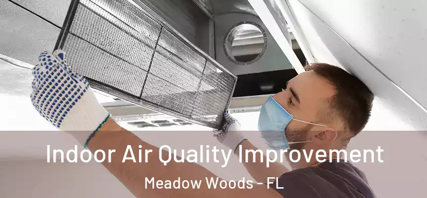 Indoor Air Quality Improvement Meadow Woods - FL