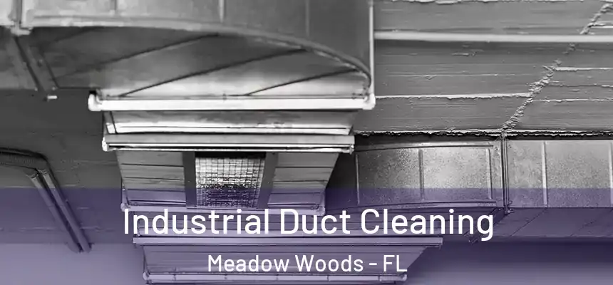 Industrial Duct Cleaning Meadow Woods - FL