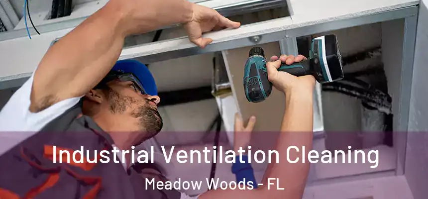 Industrial Ventilation Cleaning Meadow Woods - FL