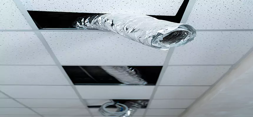 Affordable HVAC Sanitizing After Pest Removal in Meadow Woods