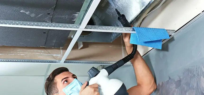 Our Air Duct Rodent Removal Services in Meadow Woods, FL