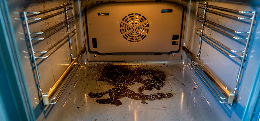 Our Air Purifier Installation Services in Meadow Woods, FL