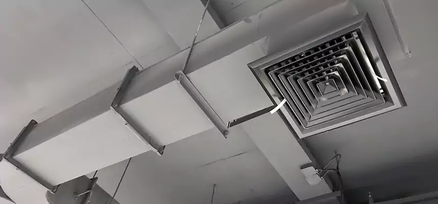 Restorative Allergy Relief Vent Cleaning – Coil, Blower & Housing Detail in Meadow Woods