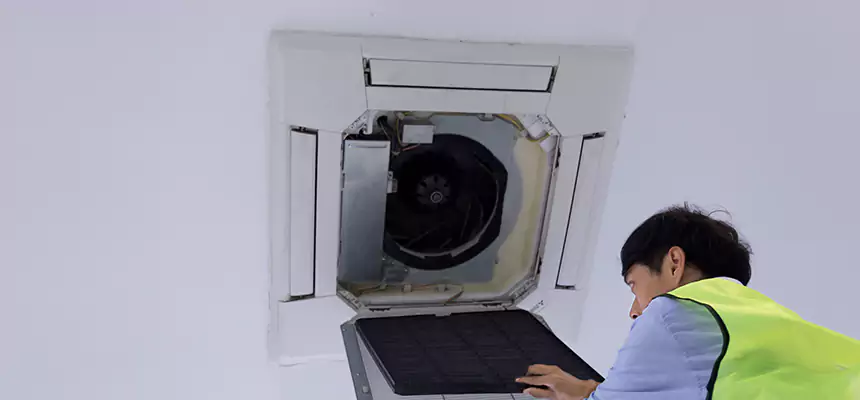 Our Dryer Vent Sanitization Service Services in Meadow Woods, FL