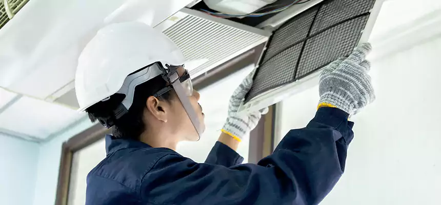 Our Mold & Mildew Removal from Air Ducts Services in Meadow Woods, FL