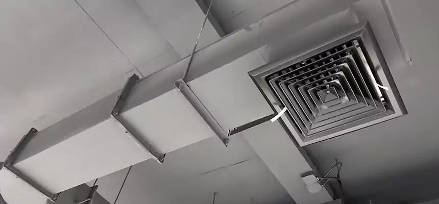 Our Pest Removal From Ducts Services in Meadow Woods, FL