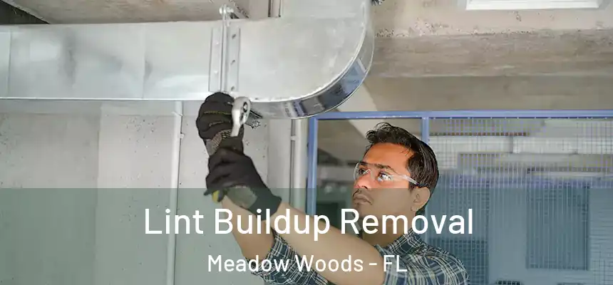 Lint Buildup Removal Meadow Woods - FL