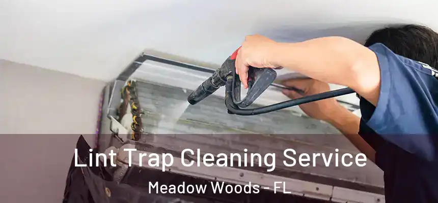 Lint Trap Cleaning Service Meadow Woods - FL