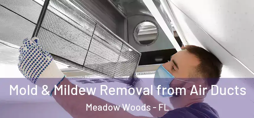 Mold & Mildew Removal from Air Ducts Meadow Woods - FL