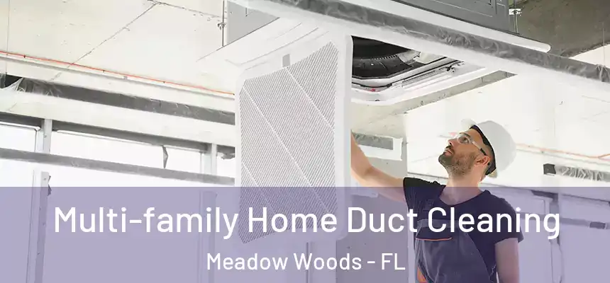 Multi-family Home Duct Cleaning Meadow Woods - FL