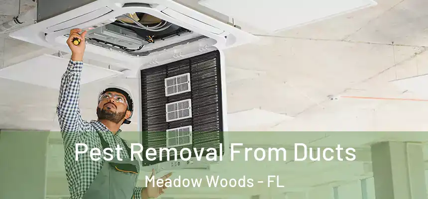 Pest Removal From Ducts Meadow Woods - FL