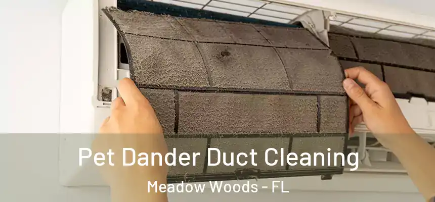 Pet Dander Duct Cleaning Meadow Woods - FL