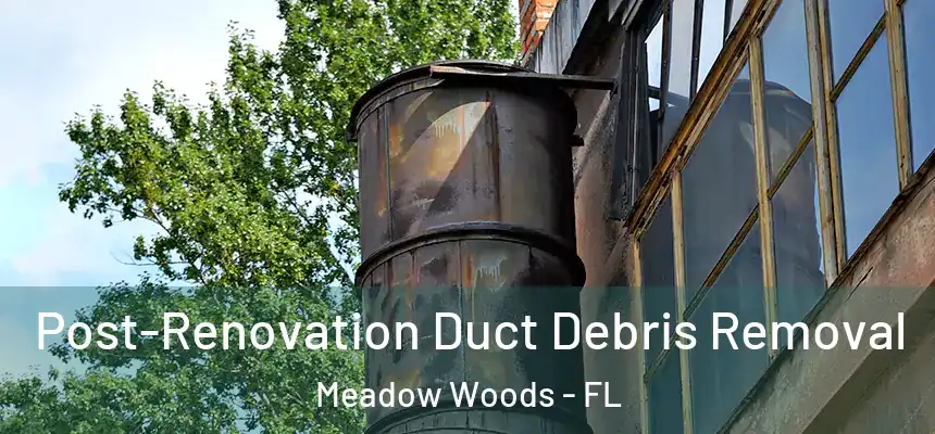  Post-Renovation Duct Debris Removal Meadow Woods - FL