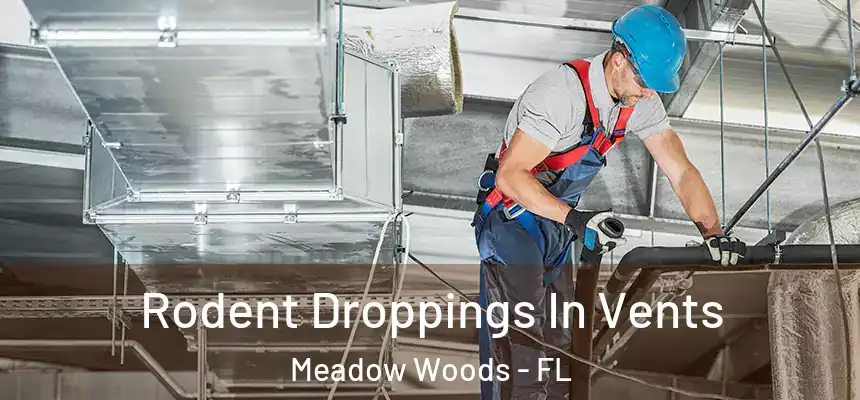 Rodent Droppings In Vents Meadow Woods - FL