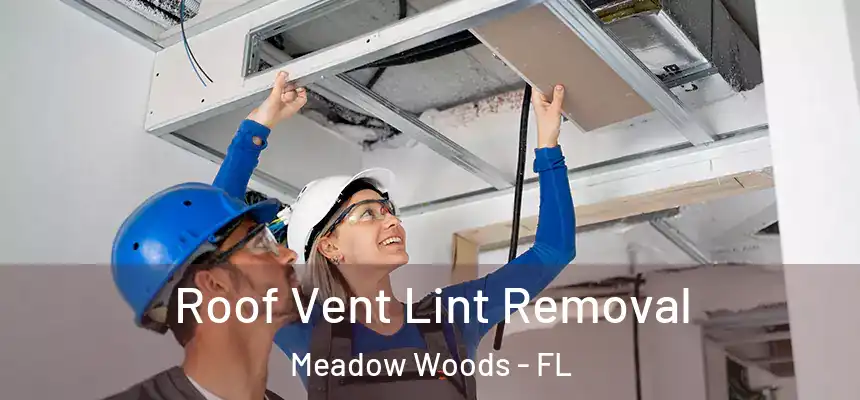 Roof Vent Lint Removal Meadow Woods - FL