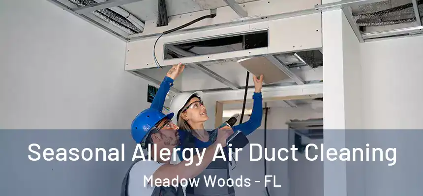 Seasonal Allergy Air Duct Cleaning Meadow Woods - FL