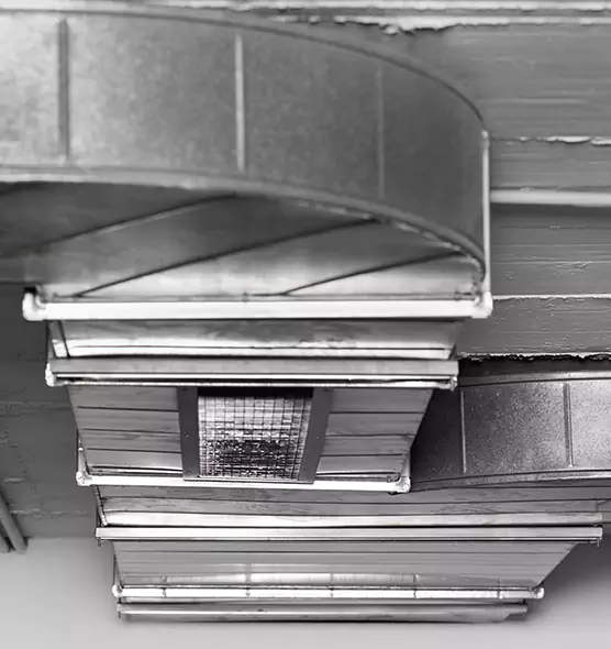 Professional Air Duct Pet Hair Removal in Meadow Woods, FL