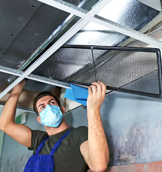 Professional Air Duct Pollen Cleaning in Meadow Woods, FL