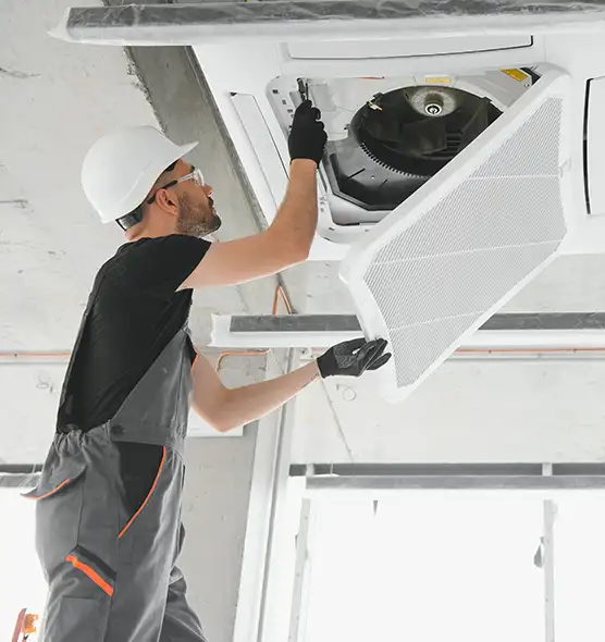 About Air Duct Rodent Removal in Meadow Woods, FL