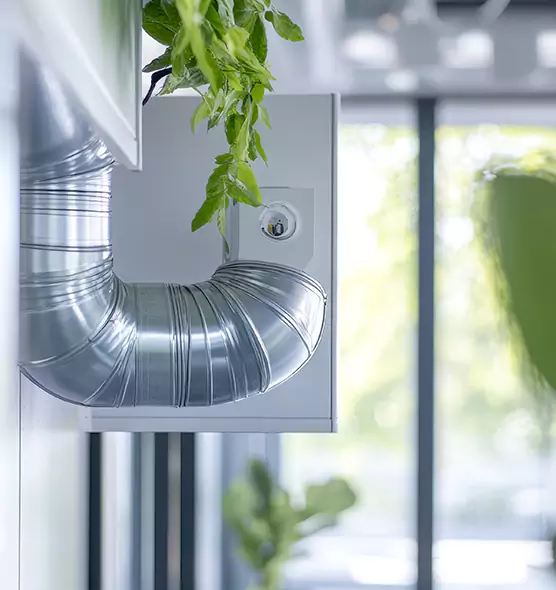 Professional Eco-Safe Dryer Vent Cleaning in Meadow Woods, FL