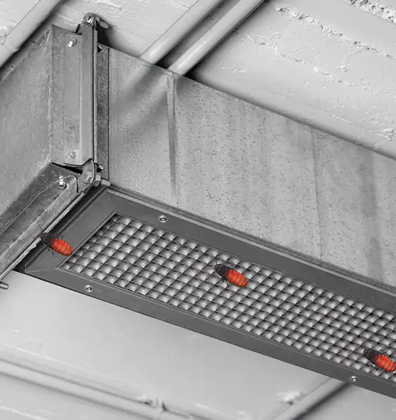 Affordable Insect Removal from Air Ducts in Meadow Woods, FL