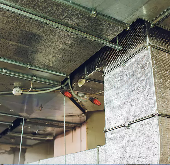 Why Homeowners & Businesses Trust Us in Meadow Woods, FL?