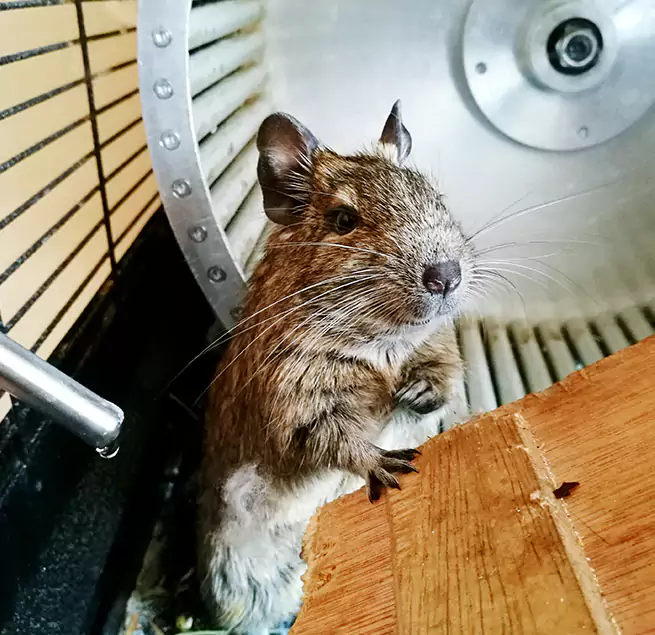 Why Homeowners & Businesses Trust Us Meadow Woods, FL