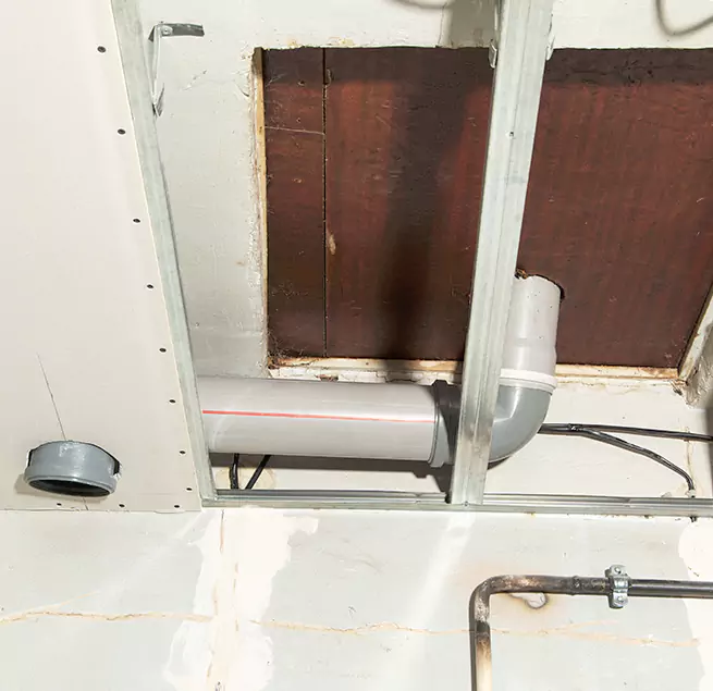 Why Homeowners & Businesses Trust Us in Meadow Woods, FL?