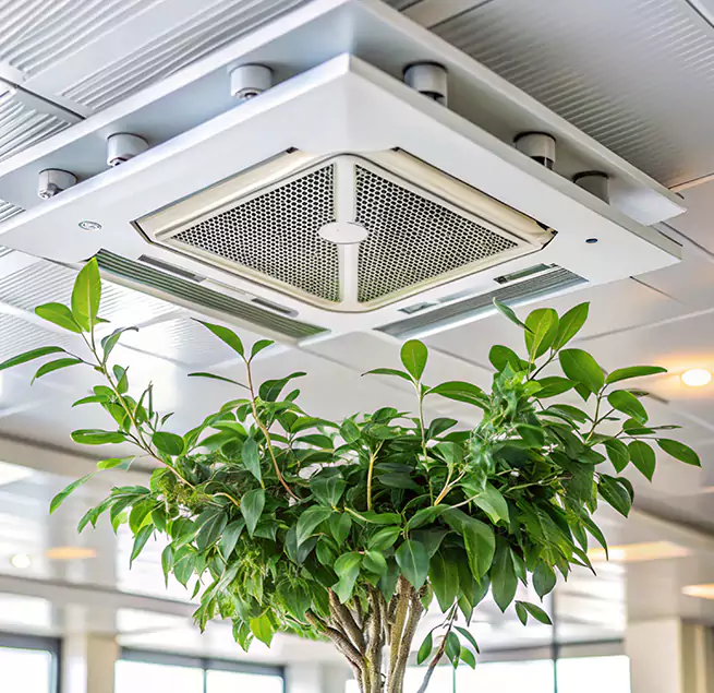 Why Homeowners & Businesses Trust Us in Meadow Woods, FL?