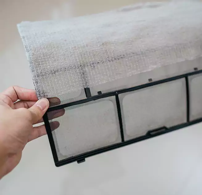 Why Homeowners & Businesses Trust Us in Meadow Woods, FL?