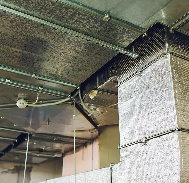 Why Homeowners & Businesses Trust Us in Meadow Woods, FL?